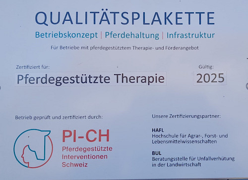 Therapiepferde
